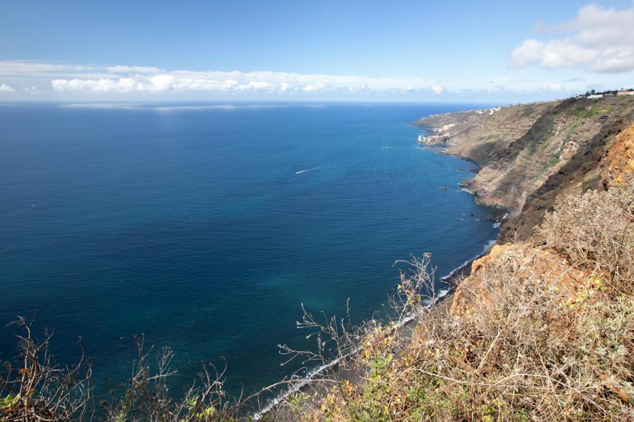 Linaje Del Pago Negramol Villa Sauzal Kültér fotó